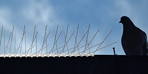 Pestsystems Vogelabwehrsystem, 1 Meter Taubenspikes 2-reihig auf V2A-Flexleiste – hochwertige Lösung für Vogelabwehr Taubenabwehr Edelstahl Spikes - 8