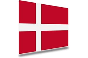 ‎TRIOSK TRIOSK Kühlschrankmagnete Länderflaggen Magnet Flagge Dänemark Länder Reise Souvenir Geschenk für Reiselustige Frauen Männer Weltenbummler Kühlschrank stark eckig groß 85x55 mm