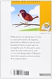 Image de Quin Niu Més Bonic! (Llibres Infantils I Juvenils - Sopa De Llibres. Sèrie Groga)