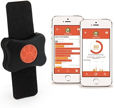 PitPat Dog Activity Fitness Monitor Collar Tracking Walking Sleep with Phone Sync Connect