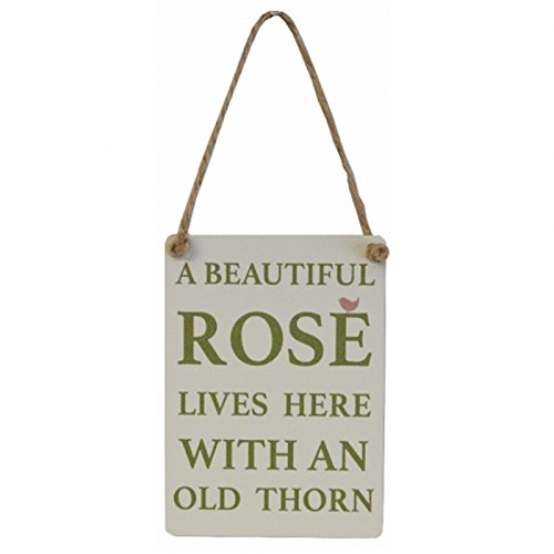 A Beautiful Rose Lives Here With An Old Thorn Mini Metal Hanging Sign