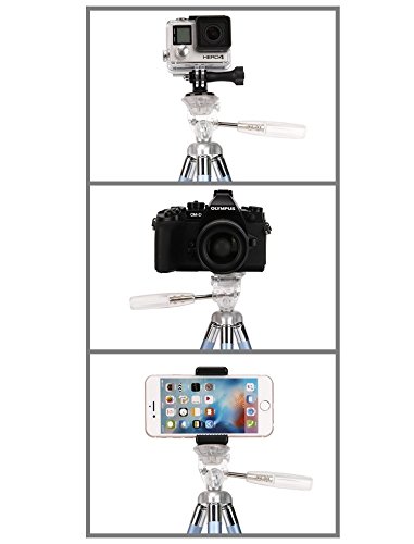 Fotopro 39.5 Zoll Handy Stativ, Aluminum Reistativ mit Stativtasche, Blau (Nur Stativ)