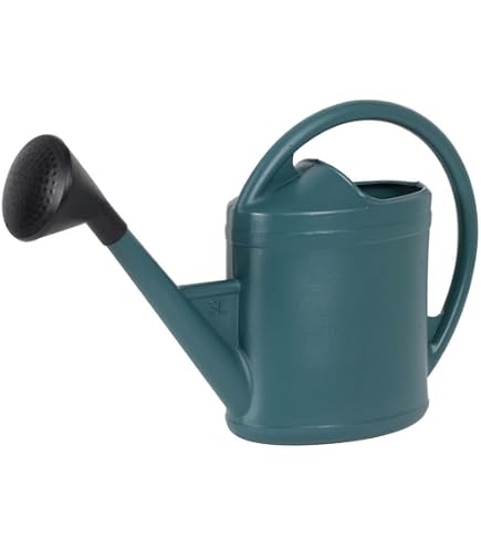 Arrosoir Jardin Plastique 3 Litres XUQEAYWD - Bec Long Avec Pommeau Amovible - Poignée Ergonomique - Pour Plantes Intérieur Et Extérieur - Dimensions 41x12x24 Cm