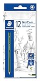 Lápiz de calidad premium idóneos para escribir, dibujar y esbozar. Mina de dureza media HB