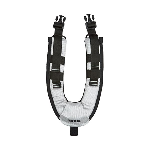 fahrradanhänger amazon