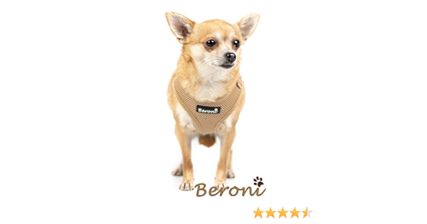 chihuahua harness amazon