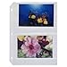 Produktbild C-Line-Produkte Inc. CLI52564 Foto Holders-Achs-Holds-4 Fotos 4in.x6in.