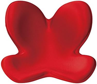 IRIVER BLANK Back Lumbar Support Cushion for Office Chair and Car Posture Corrector Cushion Correct the Back and Waist Humpback Prevention Prevent Acne