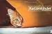 Katzenkinder Posterkalender 2014 by 