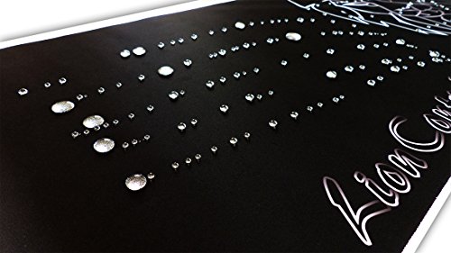 LionControl Hochwertiges Control Gaming-Mauspad-XXL (800x400x3mm) | Schwarz | Wasserdicht | Genähte Umrandung | Anti-Rutsch-Rückseite | Für Computer | Laptop | Tastatur | Maus - 5