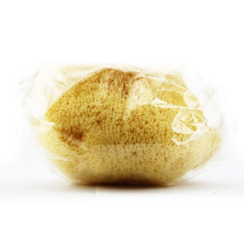 CROLL & DENECKE L080 feinporiger Naturschwamm, Levantiner aus dem mittelmeer, zur Gesichtspflege, Größe 8 cm - 2
