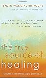 The True Source of Healing: How the Ancient Tibetan Practice of Soul Retrieval Can Transform and Enrich Your Life by 