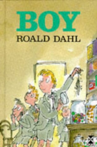 Boy: Tales of Childhood (New Windmills KS3)