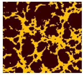 Pfeil & Holing Chocolate Transfer Sheet - Marble - Gold by Pfeil & Holing