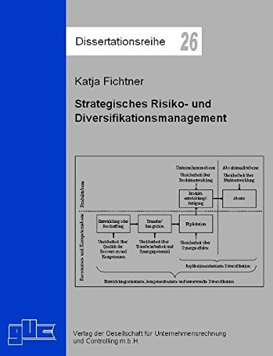 Strategisches Risiko- und Diversifikationsmanagement (Dissertationsreihe)