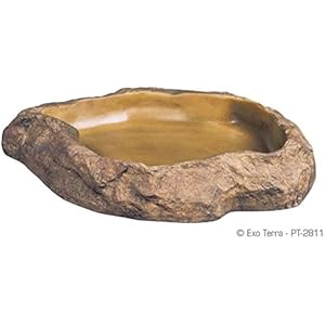 PET-538671 Exo Terra Feeding Dish (Medium)