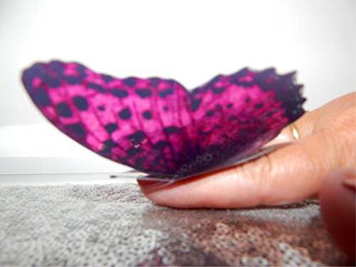 Hot Pink And Black Natural 3d Wall Butterfly Stickers Luxury Amazing Butterflies Butterfly Wall Art Home Decorations Wall Art Garden Decor Buy Online In Aruba At Aruba Desertcart Com Productid 60462318