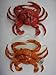 Price comparison product image FAKE CRAB ~ Toy ~ Novelty ~ Life Size ~ Assorted Colours ~ Window Display ~ Imitation