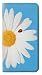 Produktbild Innovedesire Vintage Daisy Lady Bug Flip Hülle Tasche Klappetui für LG Q Stylo 4, LG Q Stylus