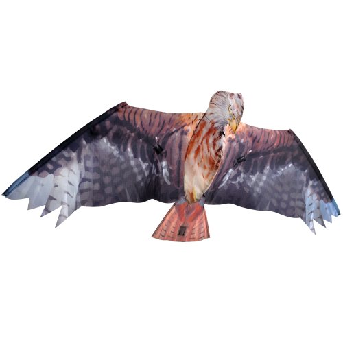 Price comparison product image Brookite 105 x 47 cm Kite (Red)