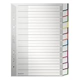 Leitz 1275 Blanko Plastik Register (A5, hoch, 12-teilig, Unterteilt) grau - 