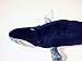 Hansa Blue Whale 37cml