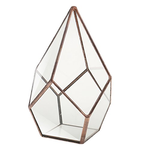 Luft Pflanzer Mini Glasterrarium Geometrisches Glas Sukkulente Pflanzgefäß Haus Dekoration 16x16x25cm – Kupfer - 2