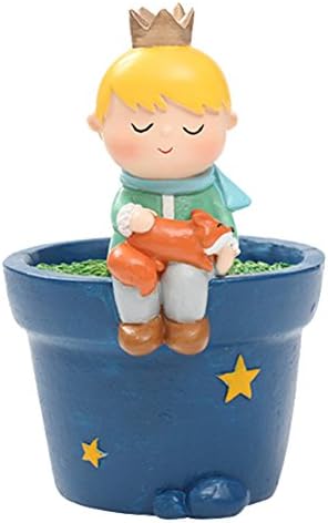 Garden Little Prince Creative Succulent Plants Decorative Flower Pot Cactus Plant Pot Mini Bonsai Pot (D)