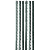 Suchergebnis auf Amazon.de für: pflanzenstützen: Garten