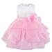 iiniim Baby Girls Princess Sleeveless Organza Tutu Dress Birthday Party Baptism Clothing Pink 12-18 Months