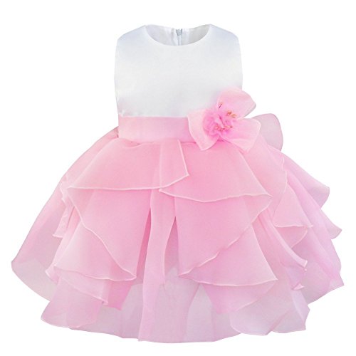 iiniim Baby Girls Princess Sleeveless Organza Tutu Dress Birthday Party Baptism Clothing Pink 12-18 Months