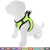 PROPIEDADES REFLEJANTES: Desde un arnés de cachorro pequeño hasta un arnés de perro adulto, el arnés reflectivo Pawtitas para perros está diseñado para reflejar la luz ambiental en condiciones de poca luz extrema, lo que proporciona la máxima visibilidad cuando más lo necesitan.