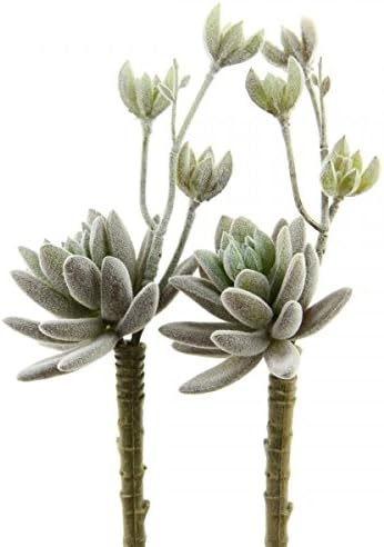 Shinoda Design Center6.5" Purple Faux Hen & Chick Succulent 2Stems, Silk Foam