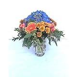 Sommerstrauß zum Geburtstag mit Hortensie