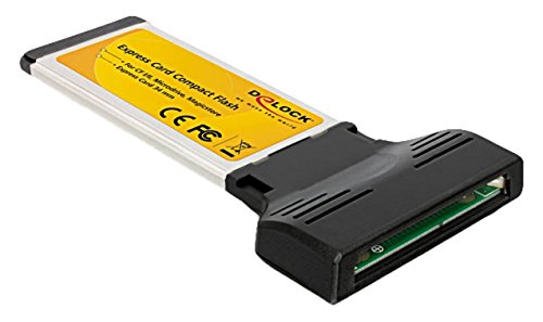 Delock Express Karte - Compact Flash