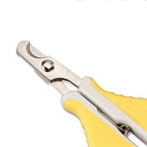AIDIYA-Coupe-ongles-pour-chats-Ongles-de-chat-Tondeuse-professionnelle-pour-chats-et-petits-chiens-de-race-galement-pour-les-petits-animaux-chiots-oiseaux-lapins-cochons-dInde-Facile-et-sr--utiliser-l