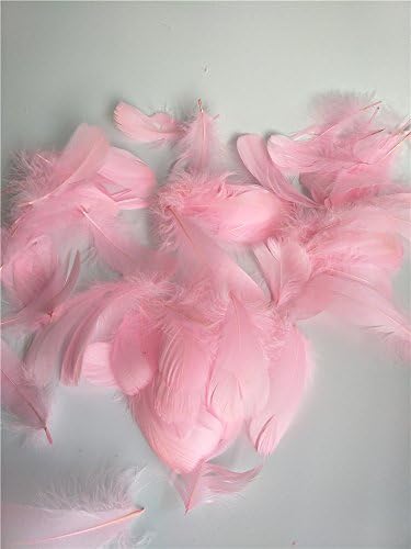 Bbei 100 PCS of Soft Feathers Decoration, Great for Transparent Clear Foil BoBo Balloons (Pink Feather)