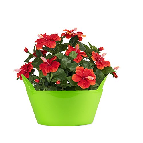 Sharpex Idel Jenny 22 Series Cute Basket Type Stylish Indoor Flower Pot For Office & Home Use (Lime Green, Regular)