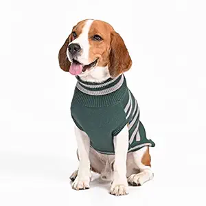 Harry Potter - Slytherin Dog Sweater - by Mutt of Course (Color - Green) (Size - Neck - 12.5