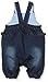 Pumpkin Patch Baby-Girls Birdie Floral Short Sleeve Dungarees, Blue (Denim), 12-18 Months