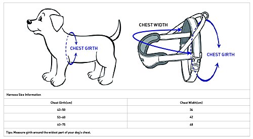 Blueberry-Pet-3M-Reflective-Strips-Nylon-Solid-Color-Neoprene-Padded-AntiNo-pull-Adjustable-Dog-Training-Harness