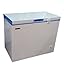 Blue Star Deep freezer 200 liter RS.19900.00
