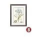 Produktbild LongYu Wandbild American Land dekorative Malerei Garten Blumen Malerei Original Malerei Kern Medizin Amaryllis Wohnzimmer Schlafzimmer Restaurant Nachttisch (Color : 8, Size : 50*70CM)