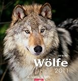Wölfe 2011 / Wolves 2011 / Loups 2011 by 