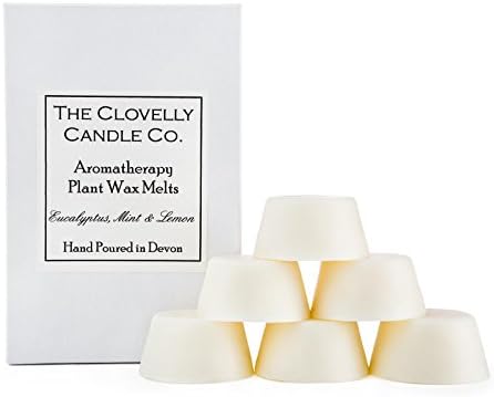 Clovelly Soap Co Handmade Natural Scented Eucalyptus Aromatherapy Soy Wax Melts Box of 6 Tarts