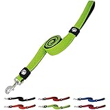 DDOXX Hundeleine aus Air-Mesh 120 cm mit Hand-Schlaufe | verschiedene Farben & Groessen fuer große & kleine Hunde | leicht, luftdurchlässig, weich, stabil, bunt, hochwertig | Grün, XS - 1,5 x 120 cm [Halsband & Geschirr separat erhältlich]