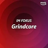  Im Fokus: Grindcore