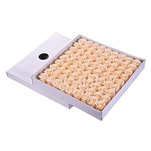 TININNA 81 pcs Jabón de Baño de Rosa Flor de Romántico Perfumada Baño Cuerpo del favor Regalos Jabón Rose Petal decoración de la boda-Champán
