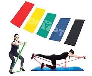 DR PT Thera Band Rehabilitation Exerciser ( Color May Vary )