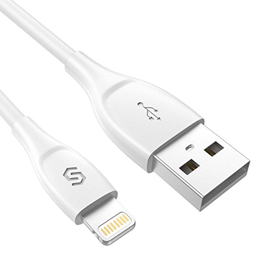 Syncwire C  ble iPhone - 20cm Chargeur iPhone  MFI certifi   Apple  UNBREAKCable Lightning vers USB pour iPhone X 8 8 plus 7 7 plus 6s 6s plus 6 6 plus SE 5c 5s 5  iPad Mini  Air - Blanc